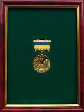 медаль від Кабінету Міністрів України